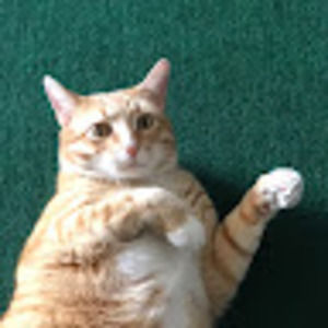 Meet your Posher, Keegan